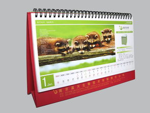 南京珠江路平面設計與廣告服務公司 專業的代理代辦解決方案